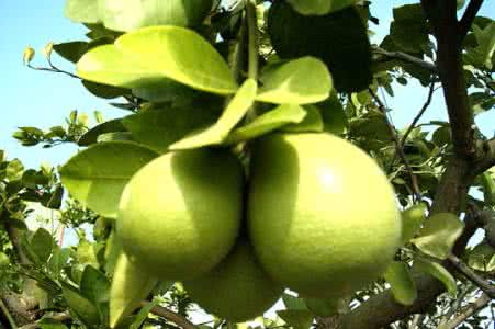 九游官网案例展示七