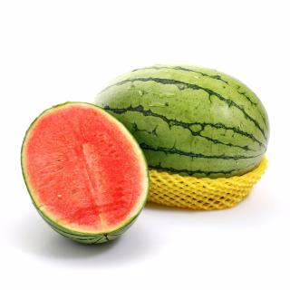 九游官网产品名称四