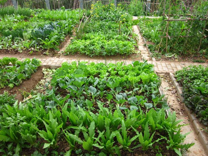 九游官网案例展示五