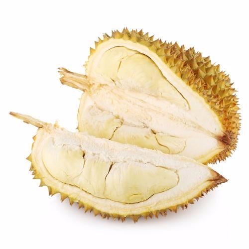 九游官网产品名称二